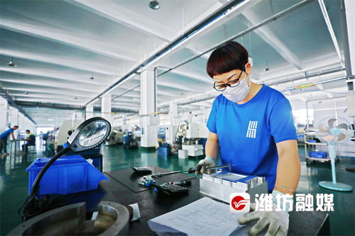 潍坊企业家荣膺欧洲自然科学院院士，技术创新引领产业发展