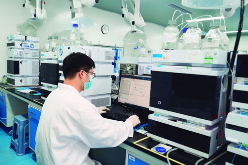 锚定生物技术核心 热景生物以“出海”与“深耕”双轮驱动技术研发