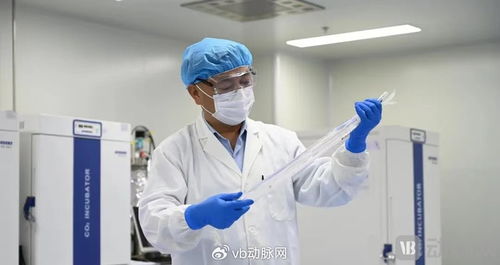 国产生物型人工血管获创新通道认可，心血管治疗迎来新突破