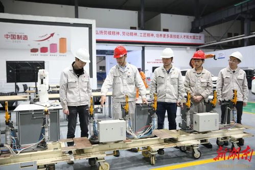 青春力量动长沙 一座城市与青年双向奔赴的时代脉动